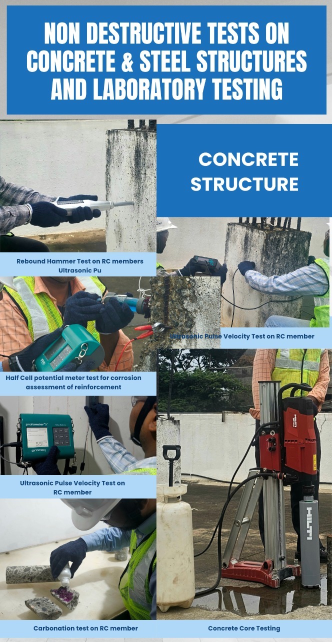 Structural Investigation